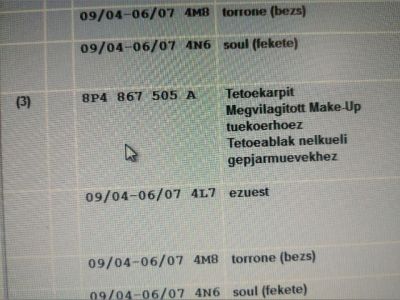 Tetőkárpit - 3. kép