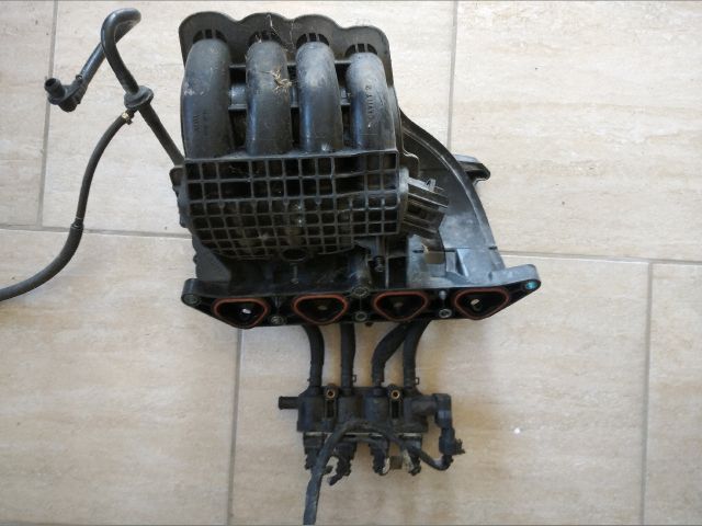 Szívósor - Szívósor | EXPO.HU