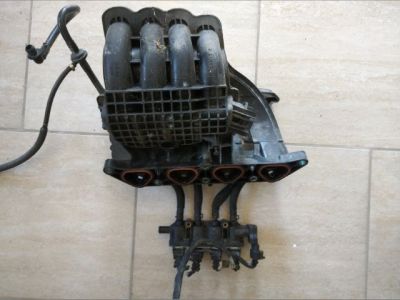 Szívósor - 1. kép