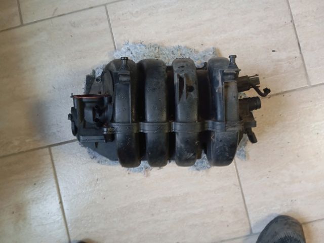 Szívósor - Szívósor | EXPO.HU