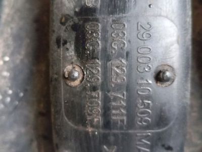 Szívósor - Szívósor