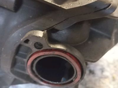 Szívósor - 4. kép