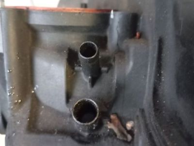 Szívósor - 5. kép