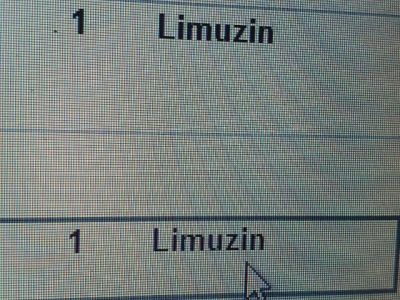 Csomagtér Kárpit - 8. kép