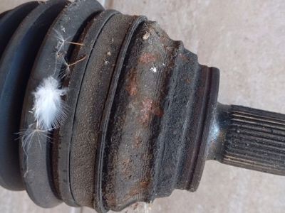 Bal Féltengely - 4. kép