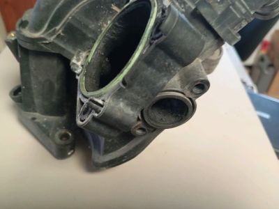 Szívósor - 6. kép