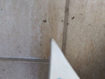 Bal első Sárvédő - 4. kép