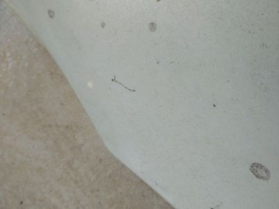 Bal első Sárvédő - 5. kép