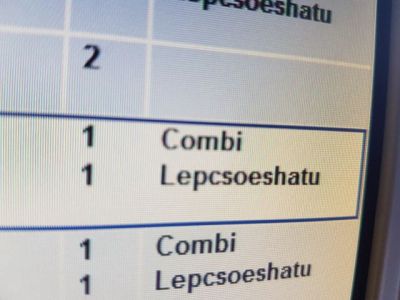 Bal Hátsó Lámpa Foglalat - 7. kép