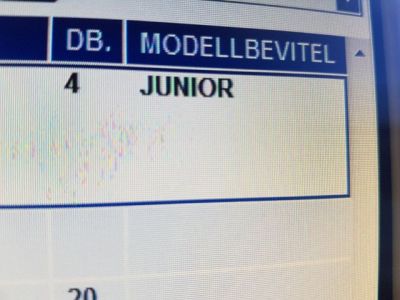 Dísztárcsa (1 db) - 7. kép