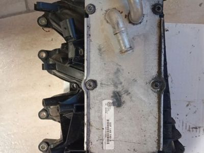 Szívósor - Szívósor