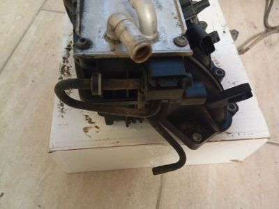 Szívósor - 8. kép