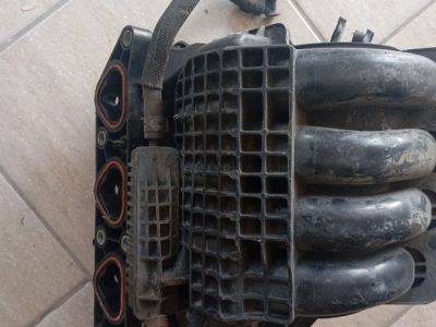 Szívósor - Szívósor