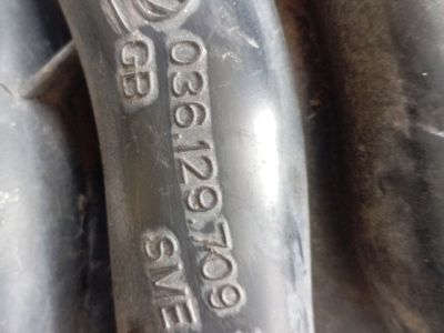 Szívósor - Szívósor