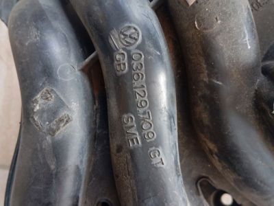 Szívósor - 4. kép