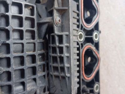 Szívósor - 6. kép