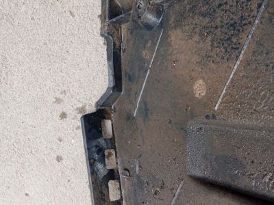 Bal Fenéklemez - 4. kép