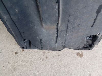 Bal Fenéklemez - 6. kép