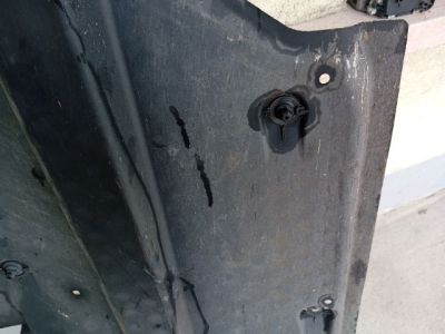 Bal Fenéklemez - 7. kép