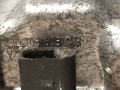 Olajteknő - 3. kép