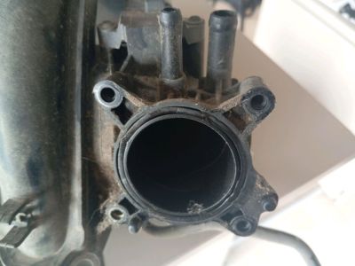 Szívósor - Szívósor