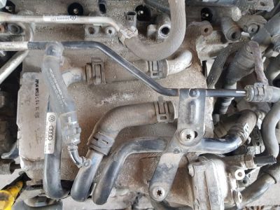 Szívósor - Szívósor