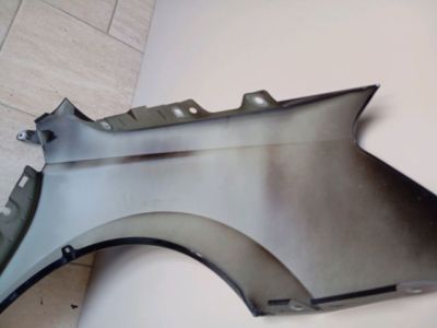 Bal első Sárvédő - 5. kép