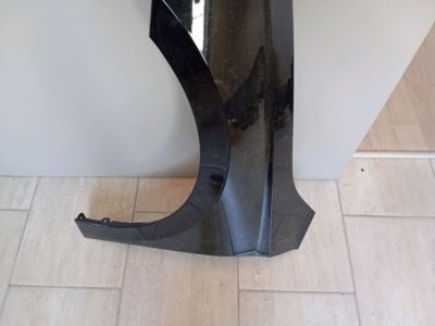 Bal első Sárvédő - 6. kép