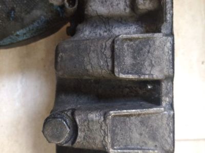 Olajteknő - 2. kép