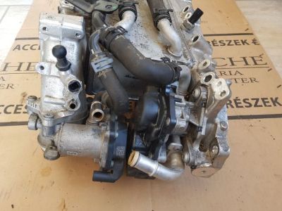 Szívósor - 4. kép