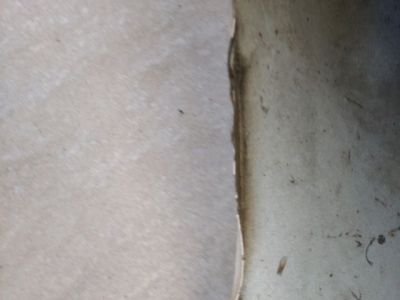 Bal első Sárvédő - 4. kép