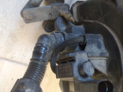 Szívósor - 4. kép