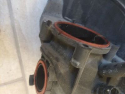 Szívósor - 5. kép