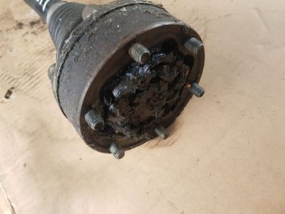 Bal Féltengely - 4. kép