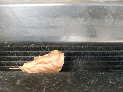 Komplett Homlokfal (Részeivel) - Karosszéria elem (lemez)