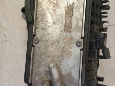 Szívósor - 4. kép