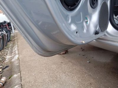 Bal hátsó Ajtó (Részeivel) - 4. kép