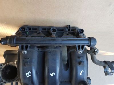 Szívósor - Szívósor