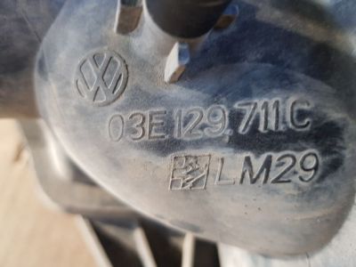 Szívósor - Szívósor