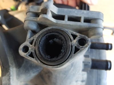 Szívósor - 4. kép