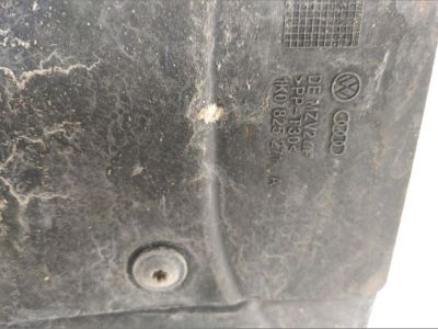 Bal Fenéklemez - 4. kép