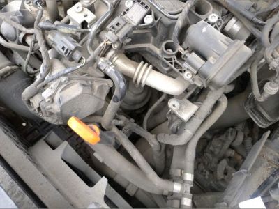 Komplett Motor (Segédberendezésekkel) - Motor