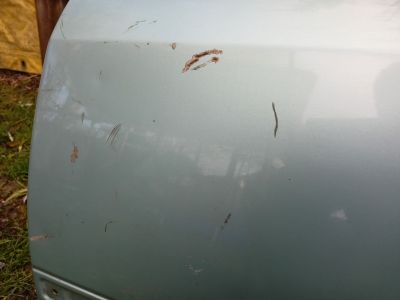 MERCEDES-BENZ 124 Bal hátsó Ajtó (Üres lemez) zöld - Bal hátsó Ajtó (Üres lemez)